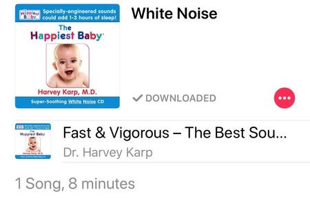 DR. KARP WHITE NOISE - MUSIC DVD