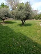 original (10).jfif