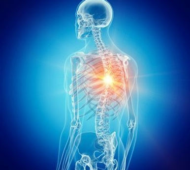 Middle Gateway In The Human Spine Of .jpg