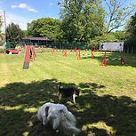 Training Field