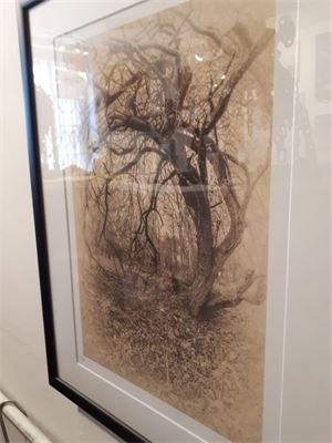 Marion Sidebottom £25-£40