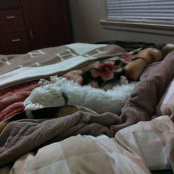 original?tenant=vbu-digital