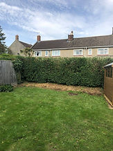 Hedge