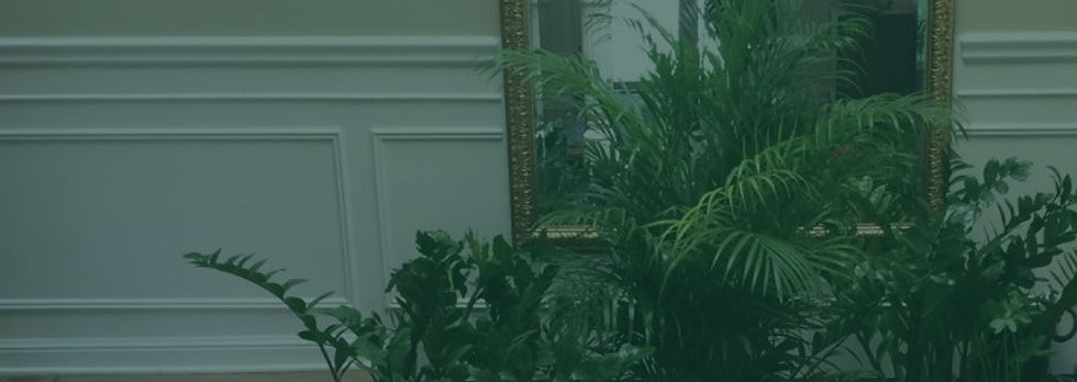 Interior Plant Atrium