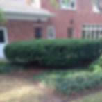 original?tenant=vbu-digital