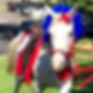 Girl wearing bunny ears standing next to white horse wearing bunny ears