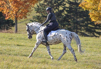 Pyx endurance