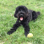 original?tenant=vbu-digital