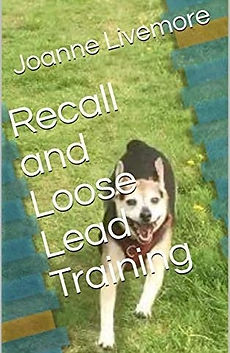 Recall & Loose Lead Wa