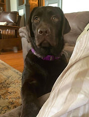 Mocha At Aisling - Retired