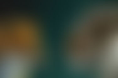 The Need for Leadership