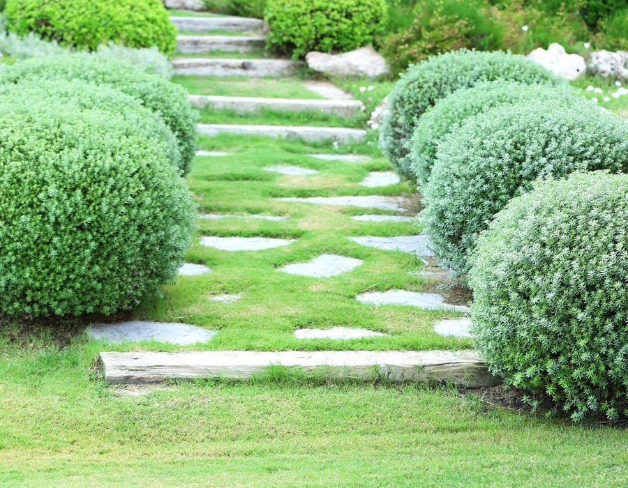 Before Freeport Lawn Care project 2