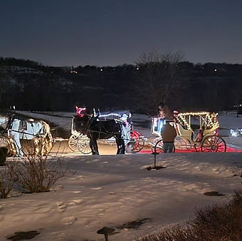 carriage rides, carriage ride, carriage horses