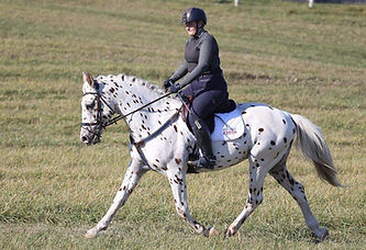 Pyx endurance