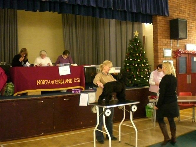 original?tenant=vbu-digital