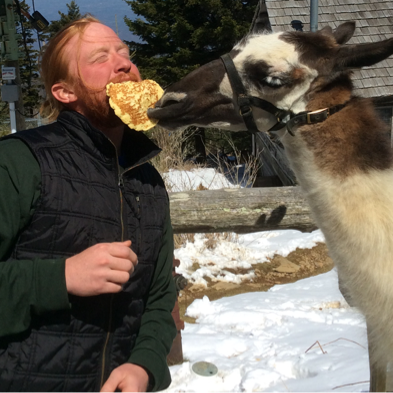 Llama hiking Greeneville TN