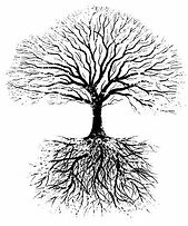 Digging Down for Root Cause