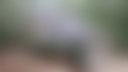 Not Just Deck Builders