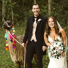 gazebo rental, parties, party, birthday, wedding, glamping, llama hiking TN, things to do in TN, llama trekking, outdoor adventure, outdoor activities