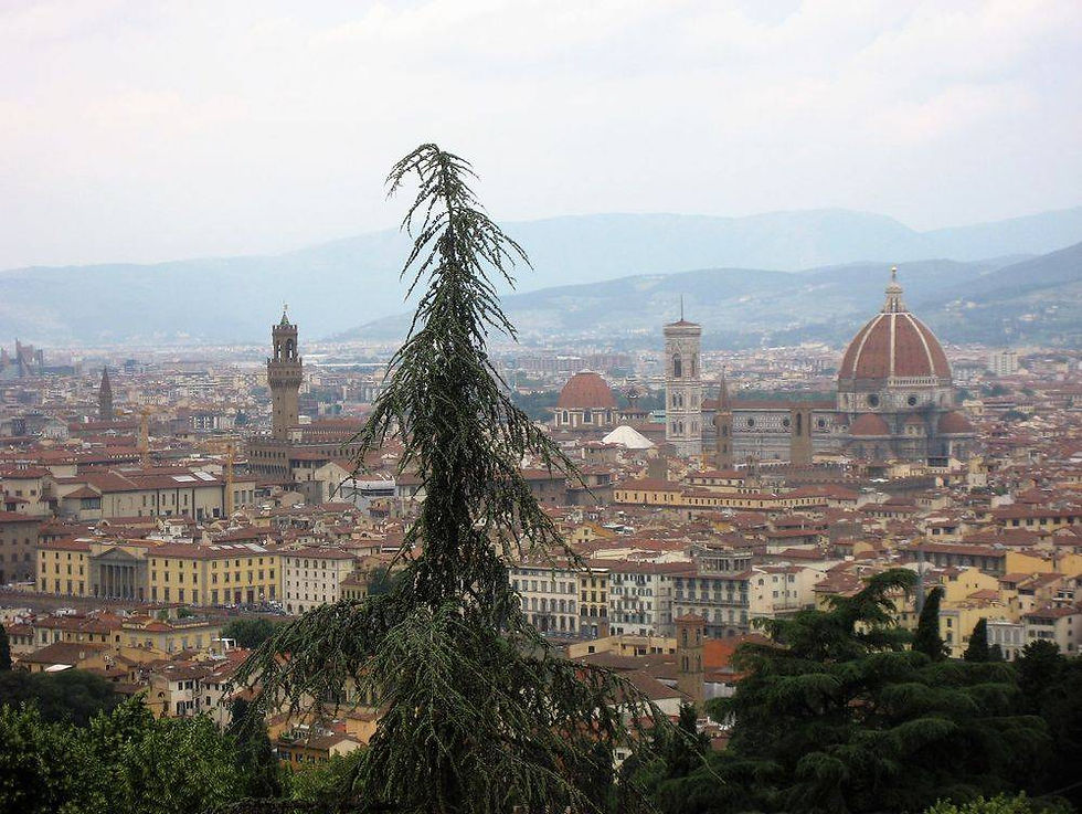 Florence, Italy, Europe, buildings, historic, gates, spruce, shrubs, architecture, pictures, photography, trees, hillsides, countryside, domes, Catholic, Christian