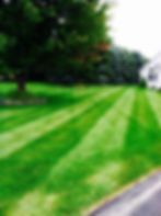 original?tenant=vbu-digital