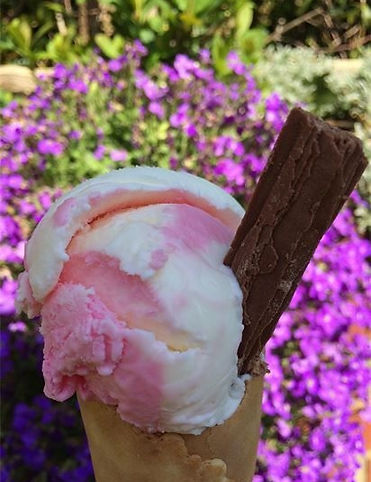 Waffle cone Ice Cream