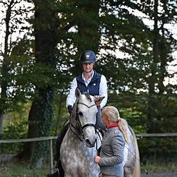 Individueller Einzelunterricht für Erwachsene Reiter/Innen bei Hamburg