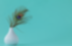 bgImage