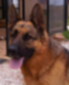 My job is to look after the angel Gracie