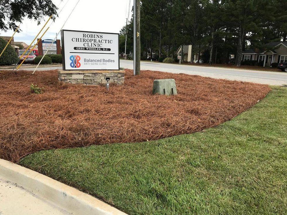 original?tenant=vbu-digital