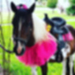 original?tenant=vbu-digital