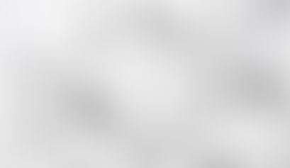 Boron and Fluoride Detox