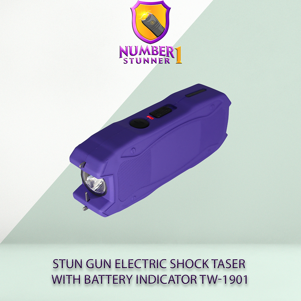 SURVIVOR High Voltage Rechargeable STUN GUN with LED