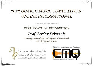 Vioolles Leidschendam, Vioolles Den Haag, Vioolles Voorburg, Vioolles Zoetermeer, Vioolles Den Haag