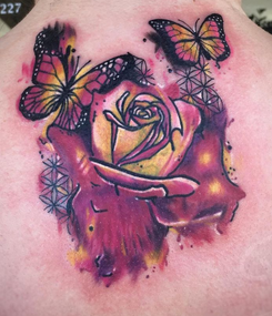 original?tenant=vbu-digital