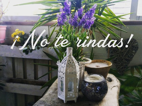 NO TE RINDAS!!