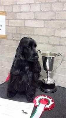 original?tenant=vbu-digital