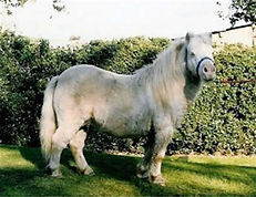 original?tenant=vbu-digital