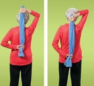Stretching Exercises