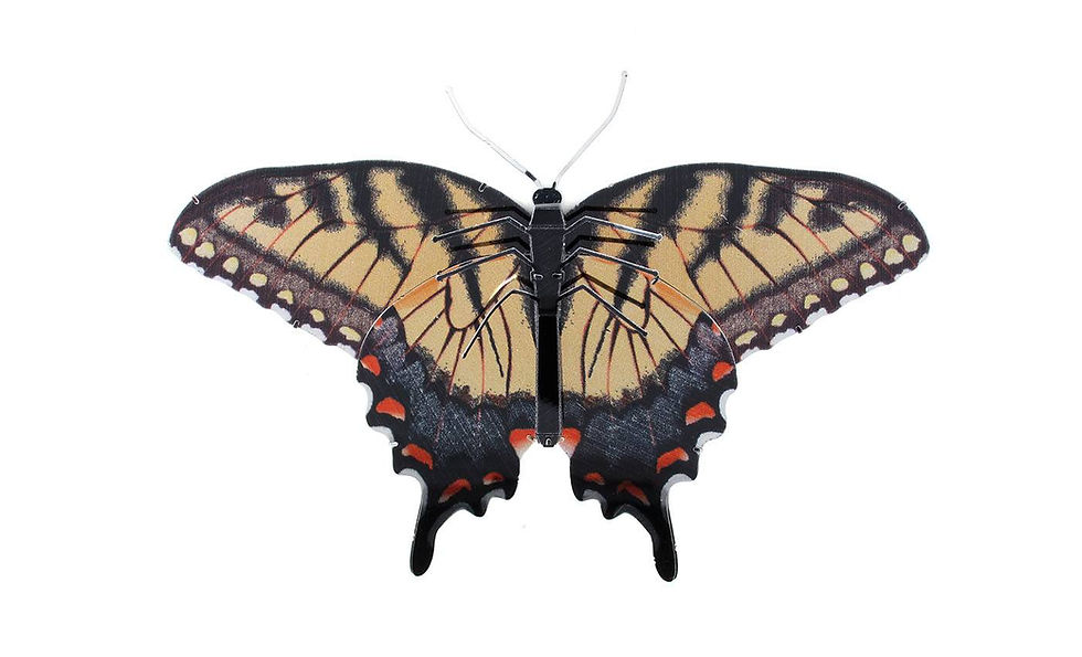 Miniatura: Kit de metal 3D de mariposa cola de golondrina de tigre de metal de color de acero inoxidable