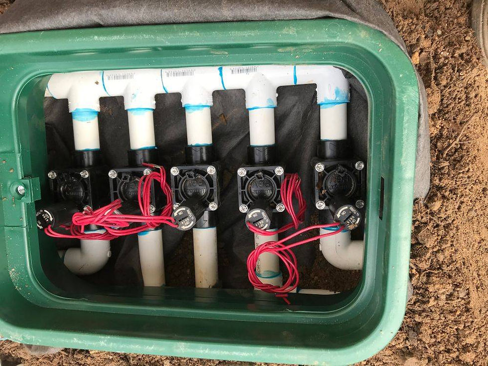 original?tenant=vbu-digital