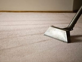 Pacific Steam Carpet Cleaning Image
