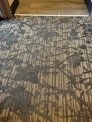 Commercial carpet cleaning