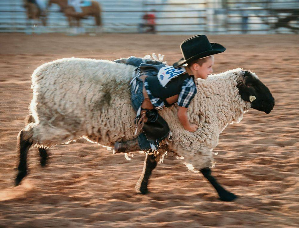 Jr. Rodeo Registrations Accepted Online