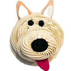 Dezicakes Fake Cupcake