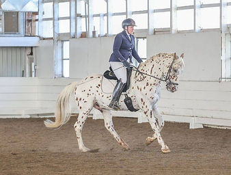 Pyx dressage