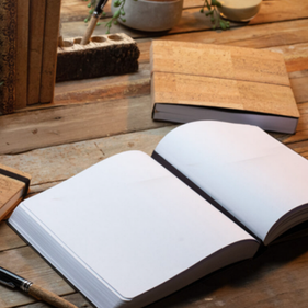 Pilot Research Project (February 28, 2014)