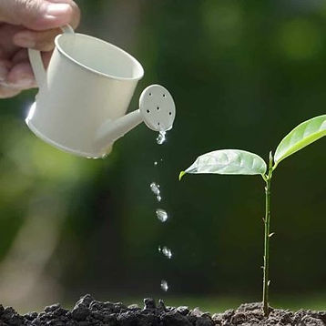 vivance, entraînement, harmonie entre corps et esprit, corps, esprit