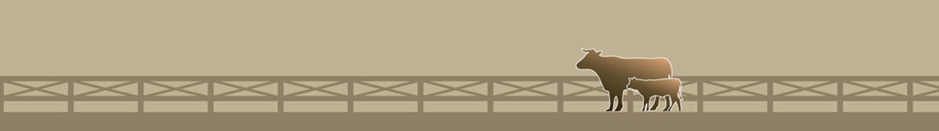 Website Banner Cows