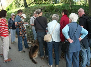 Kräuterwanderungen, auch der Hund hört zu, Andrea Lupp - www.luppinie.de